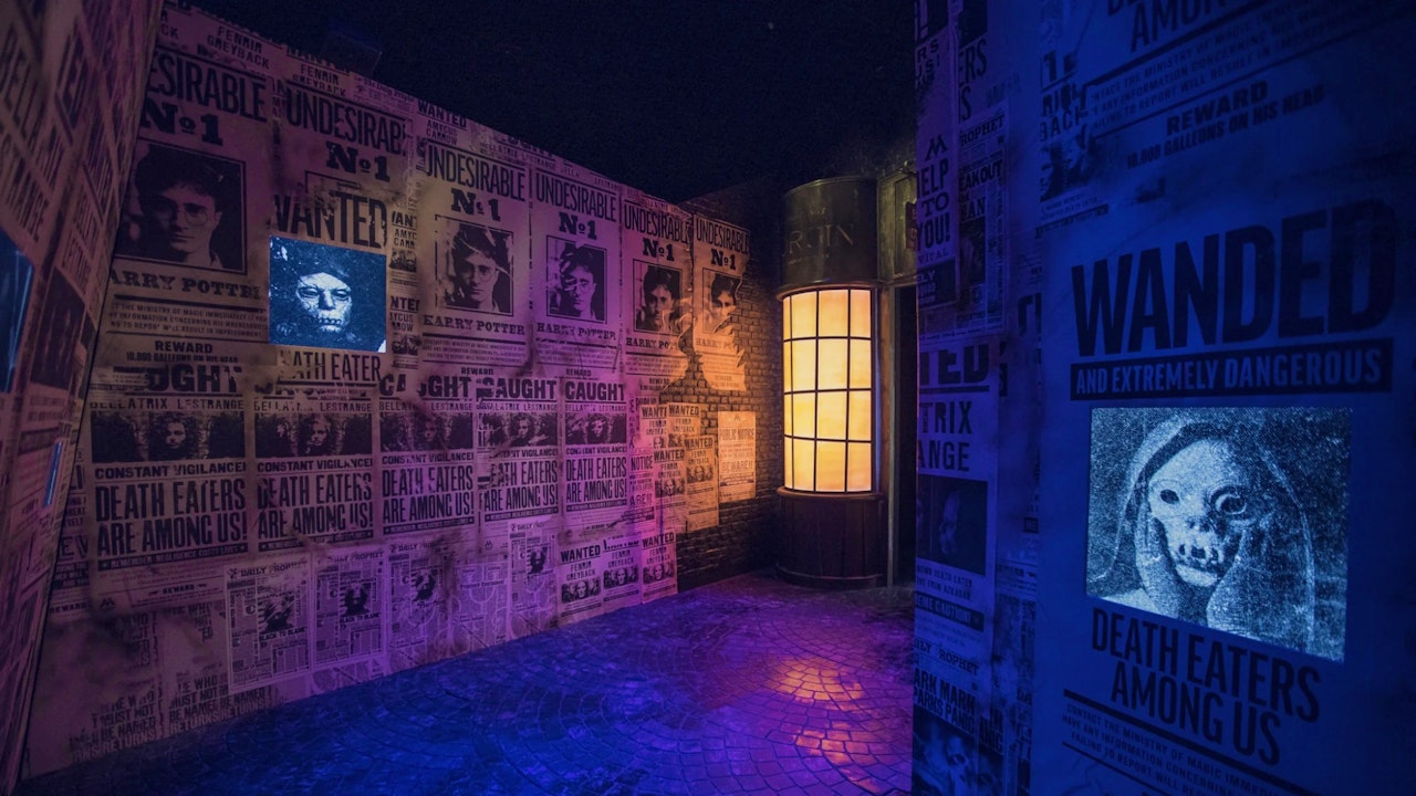 Harry Potter: Visions of Magic Price