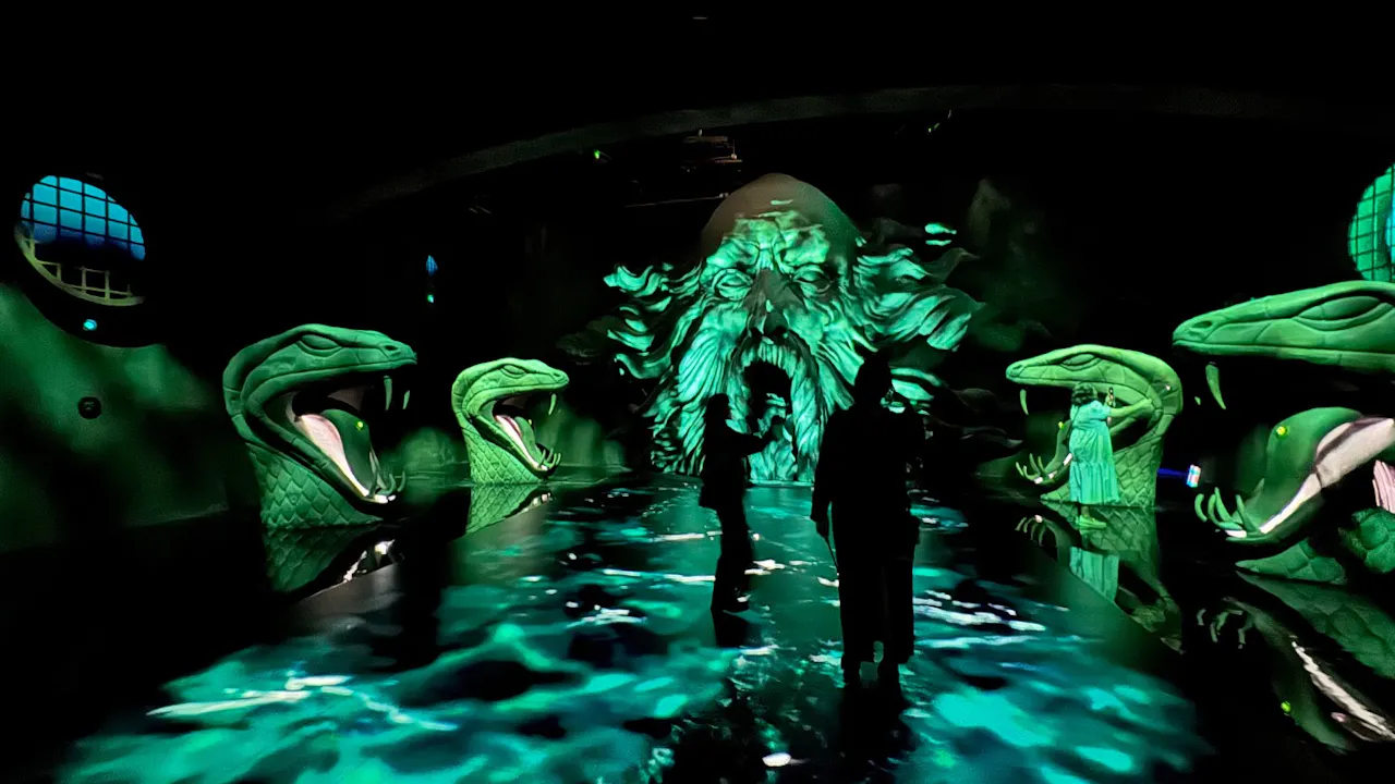 Harry Potter: Visions of Magic Category