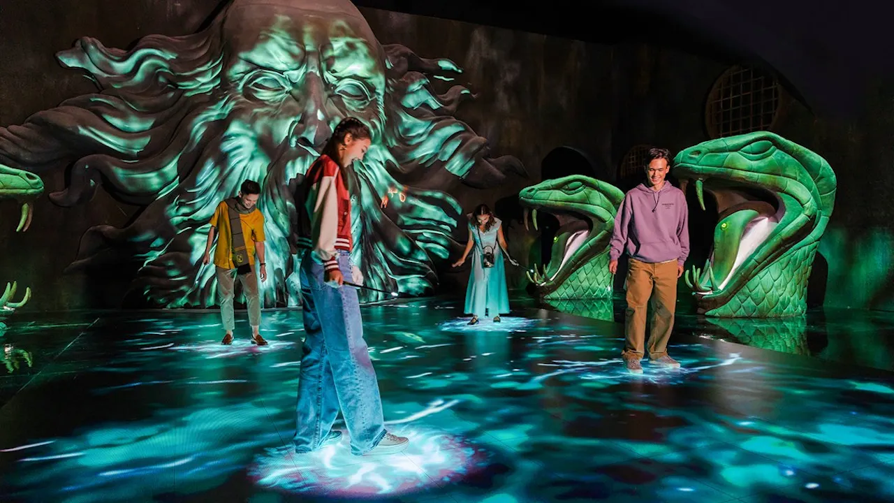 Harry Potter: Visions of Magic Ticket