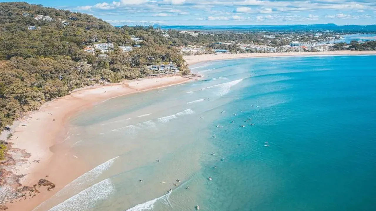 Sunshine Coast Hinterland and Noosa Tour Ticket