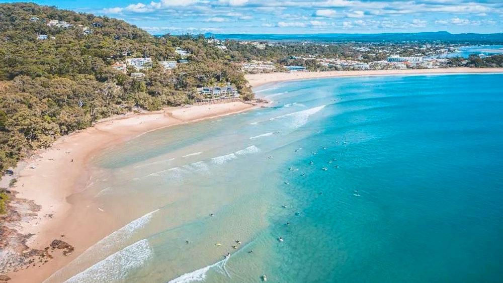Sunshine Coast Hinterland and Noosa Tour Ticket