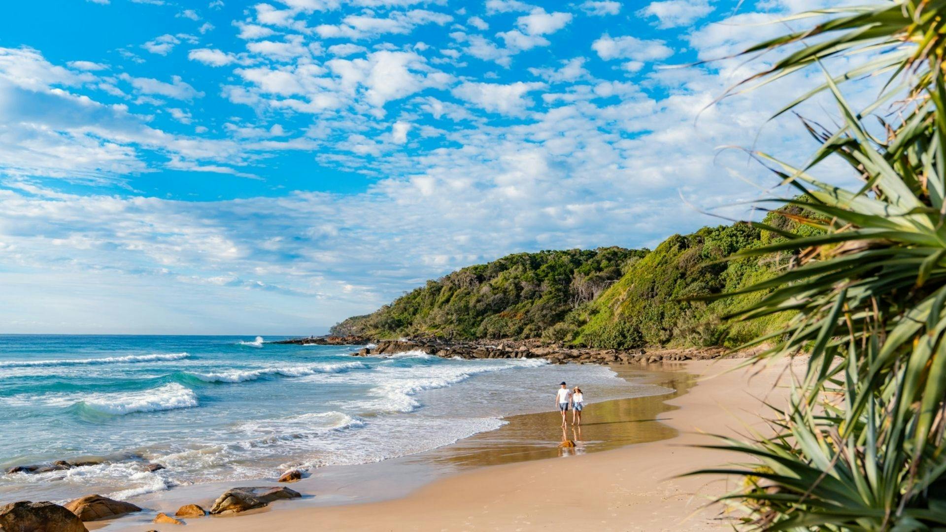 Sunshine Coast Hinterland and Noosa Tour Thrillark