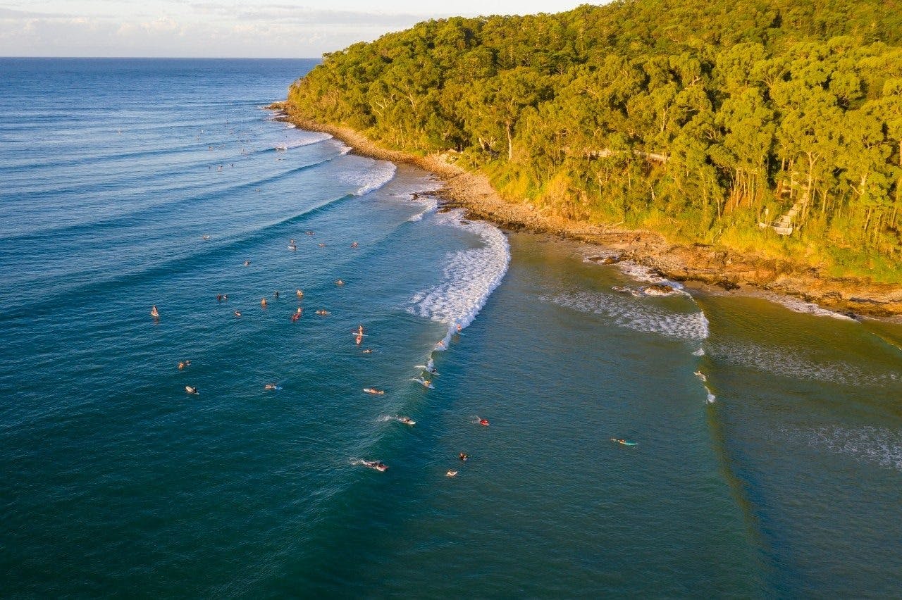 Sunshine Coast Hinterland and Noosa Tour Price