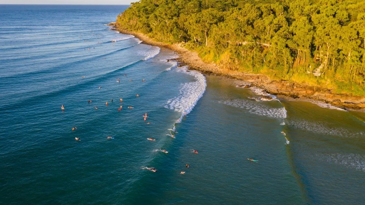 Sunshine Coast Hinterland and Noosa Tour Price
