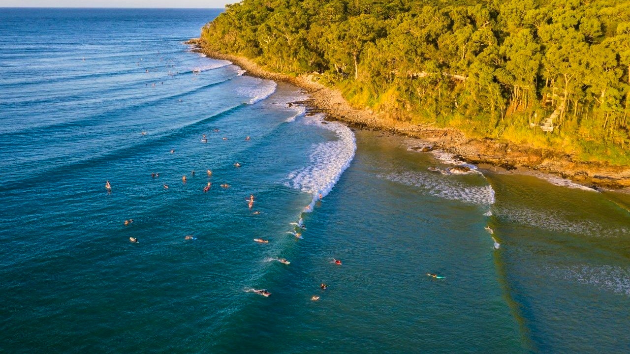Sunshine Coast Hinterland and Noosa Tour Price