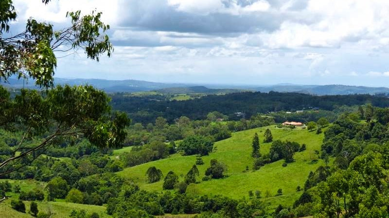 Sunshine Coast Hinterland and Noosa Tour Category