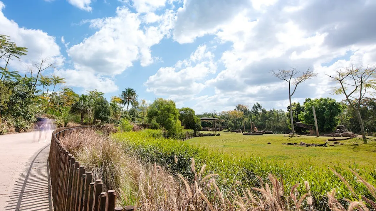 Australia Zoo Entry with Sunshine Coast Hotel Transfers Ticket