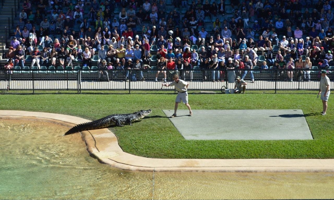 Australia Zoo Entry with Sunshine Coast Hotel Transfers Price