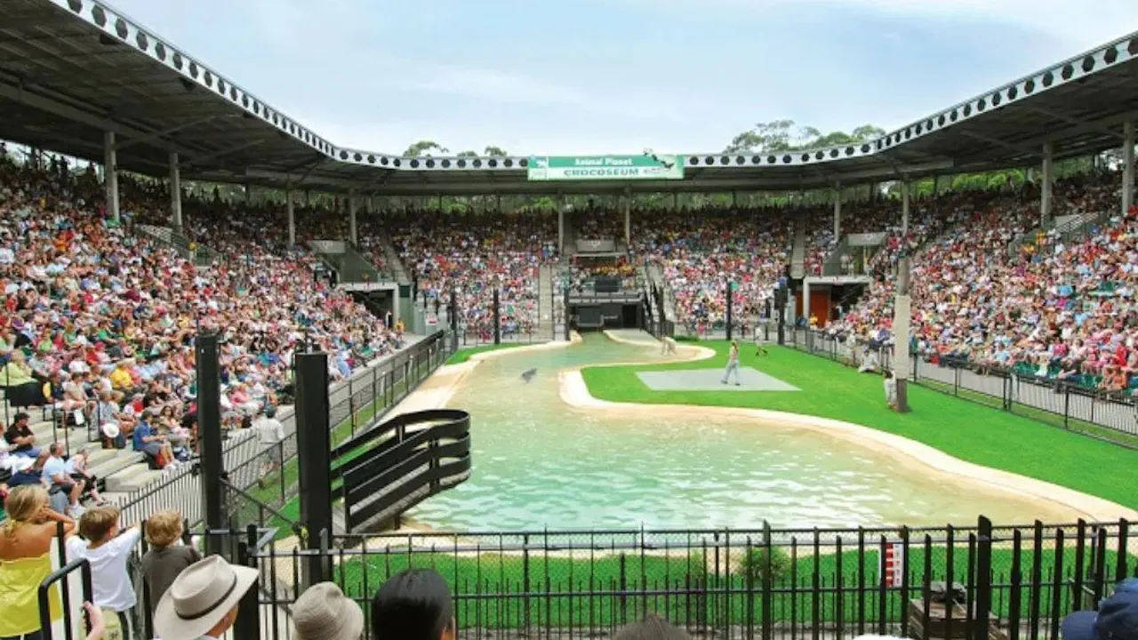 Australia Zoo Entry with Sunshine Coast Hotel Transfers Review