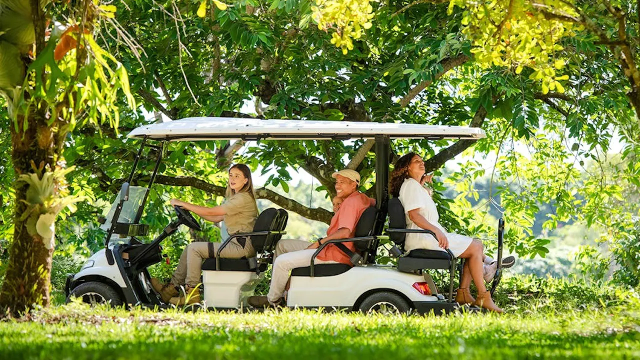 Australia Zoo Entry with Sunshine Coast Hotel Transfers Location