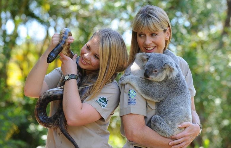 Australia Zoo Entry with Sunshine Coast Hotel Transfers Thrillark