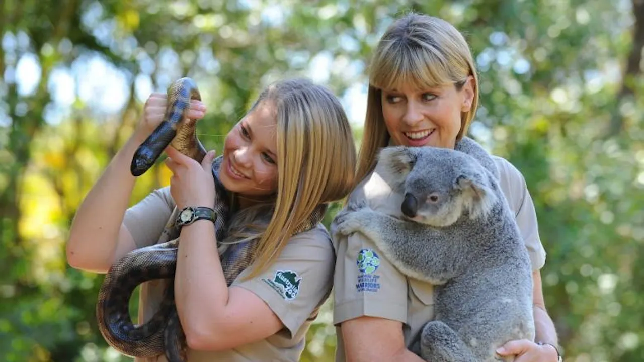 Australia Zoo Entry with Sunshine Coast Hotel Transfers Thrillark