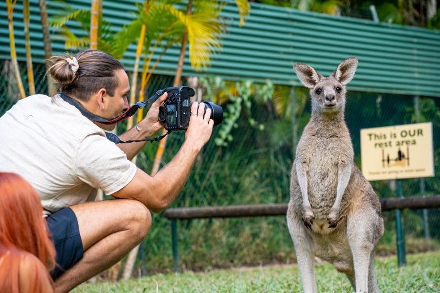 Australia Zoo Entry with Sunshine Coast Hotel Transfers 