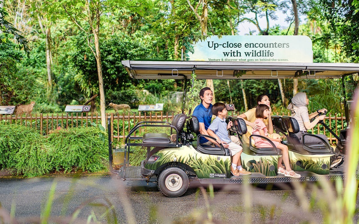 Universal Studios Singapore & Singapore Zoo Combo Ticket   Category
