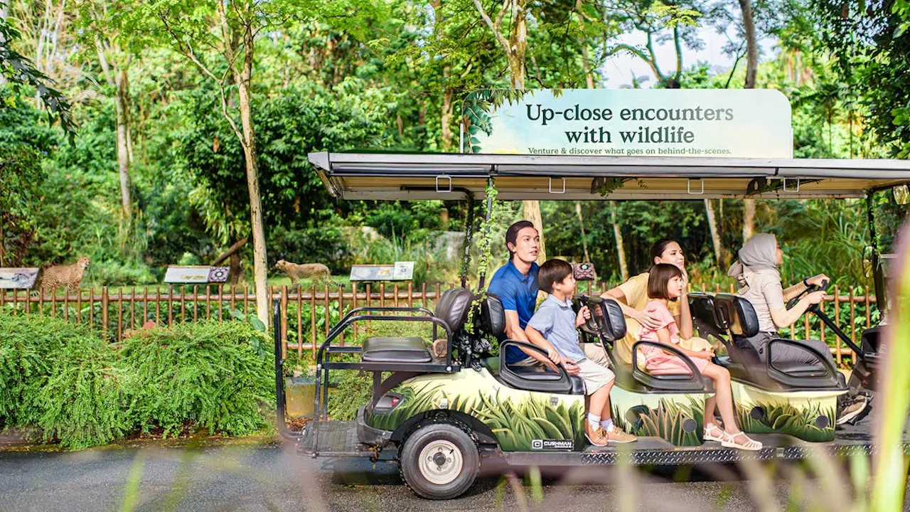Universal Studios Singapore & Singapore Zoo Combo Ticket Category