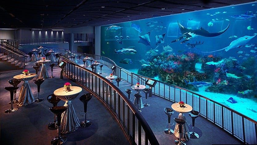 Singapore Oceanarium & Canopy Park Combo Tickets Discount