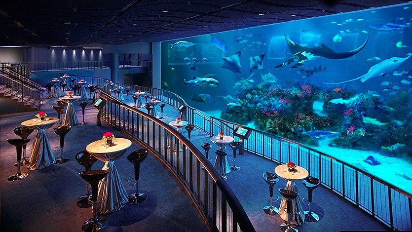 Singapore Oceanarium & Canopy Park Combo Tickets Discount