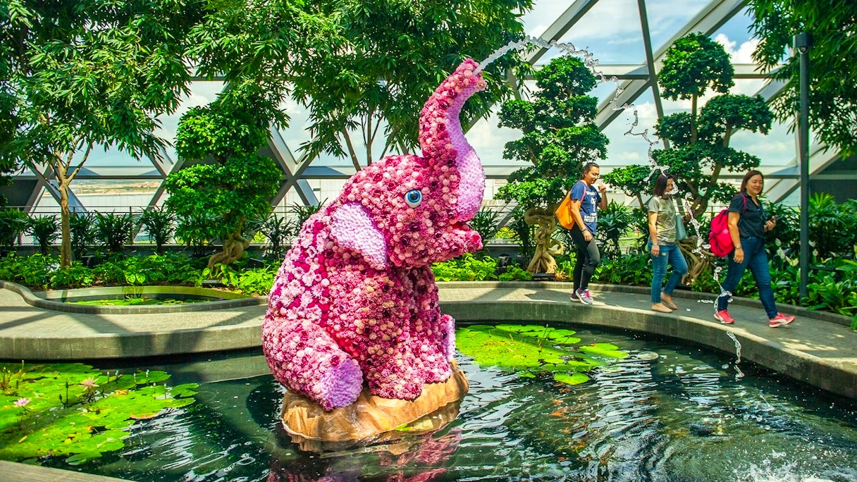 Singapore Oceanarium & Canopy Park Combo Tickets Category