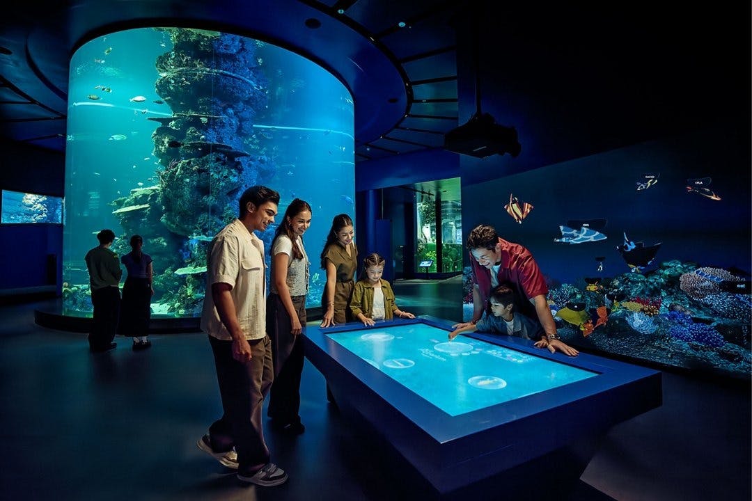 Singapore Oceanarium & Canopy Park Combo Tickets
