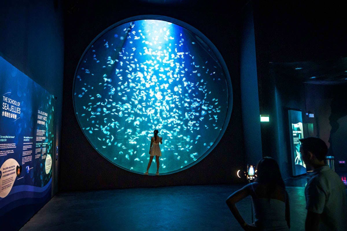 Singapore Oceanarium & Madame Tussauds Combo Ticket Discount