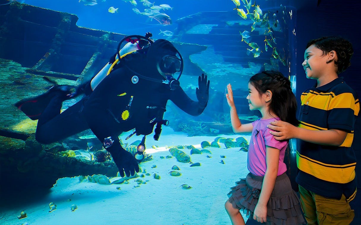 Singapore Oceanarium & Madame Tussauds Combo Ticket Price