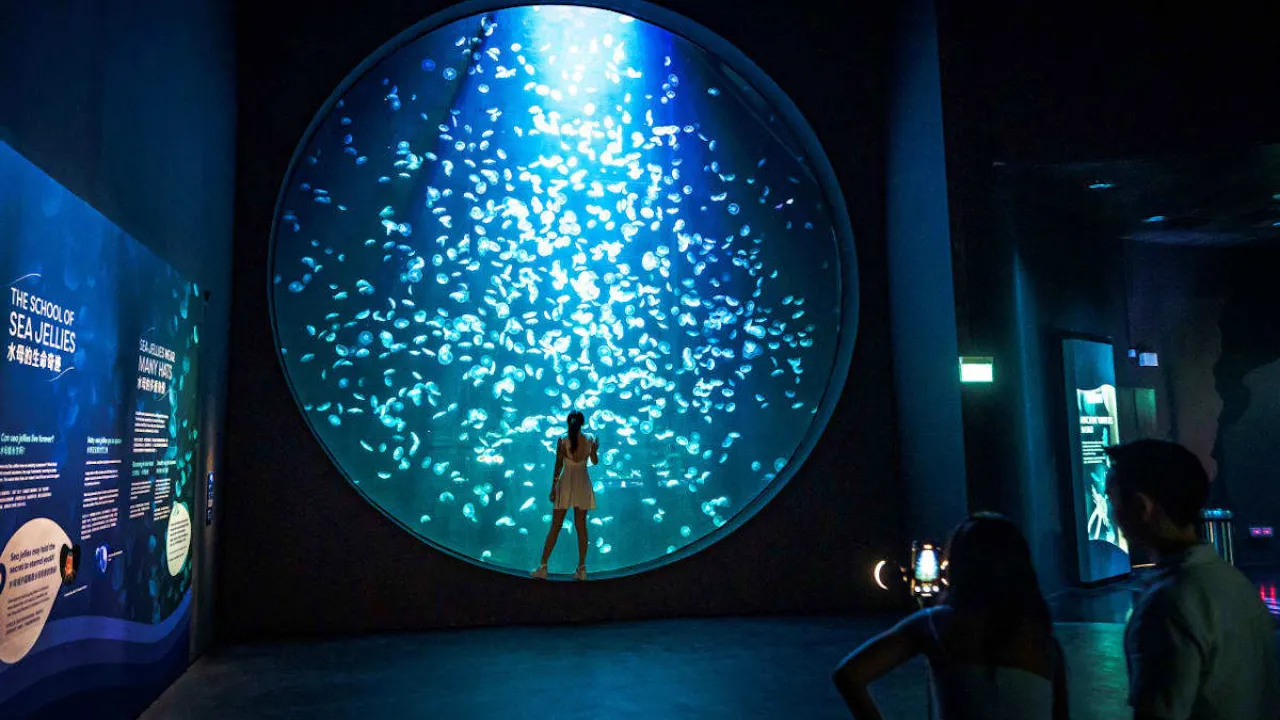 Universal Studios and Singapore Oceanarium Combo Ticket