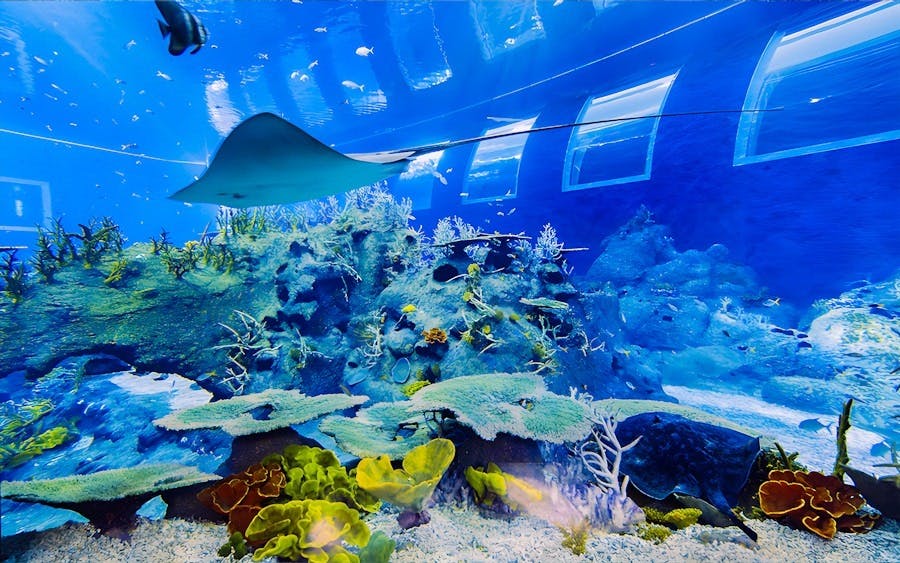 Universal Studios and Singapore Oceanarium Combo Ticket Category