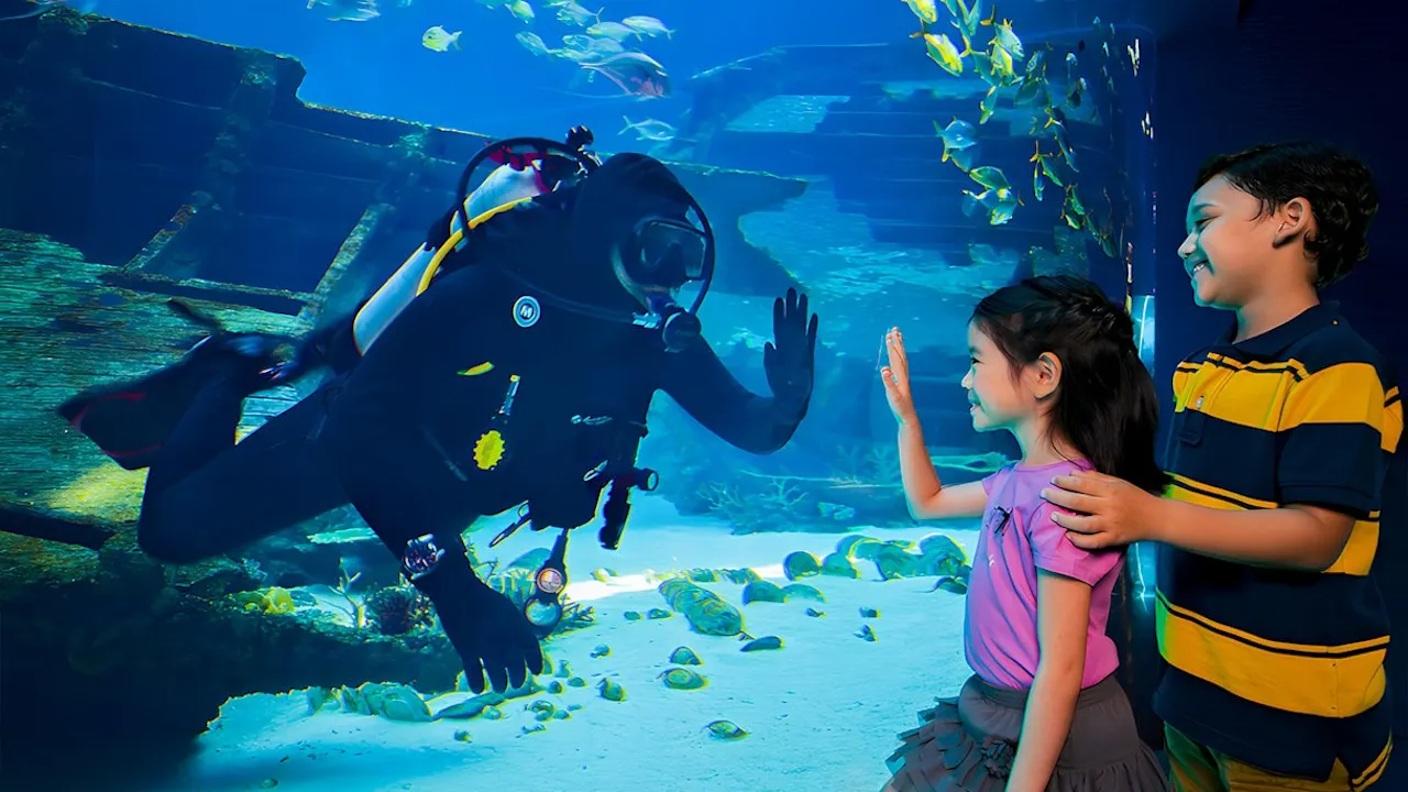 Universal Studios and Singapore Oceanarium Combo Ticket Review