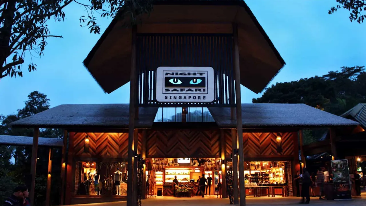 Combo: Night Safari Admission with Tram and River Wonders