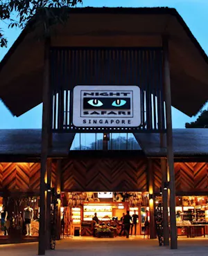 Combo: Night Safari Admission with Tram and River Wonders