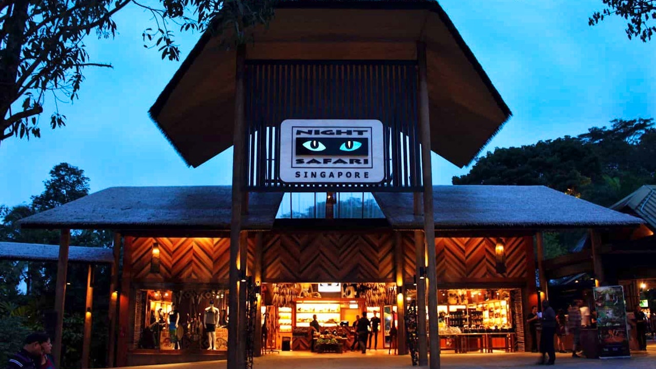 Combo: Night Safari Admission with Tram and River Wonders