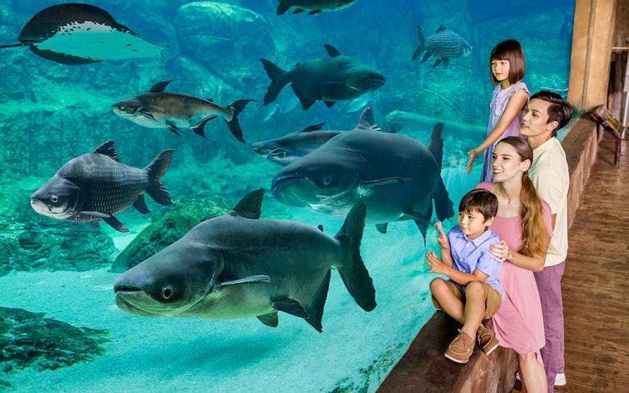 Combo: Night Safari Admission with Tram and River Wonders Location