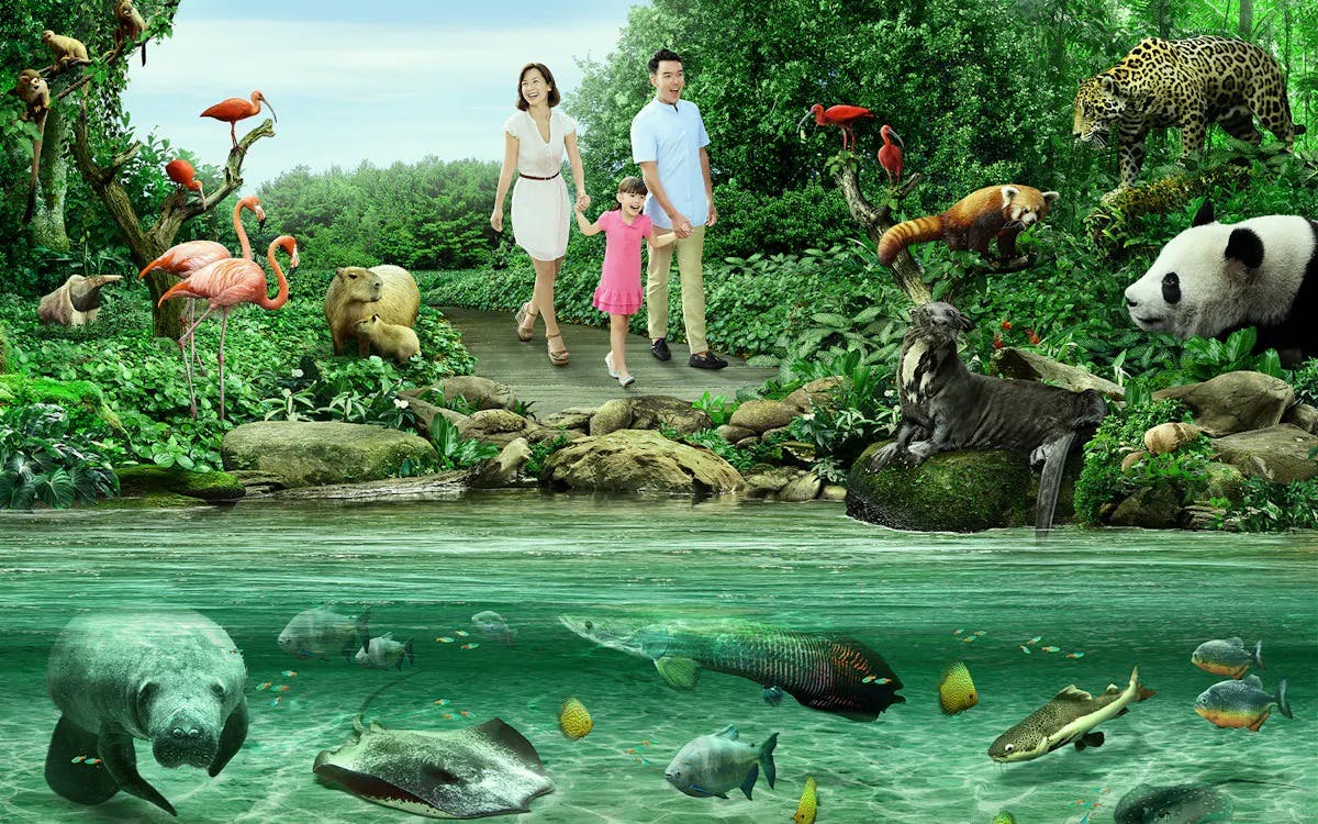 Combo: Night Safari Admission with Tram and River Wonders Thrillark