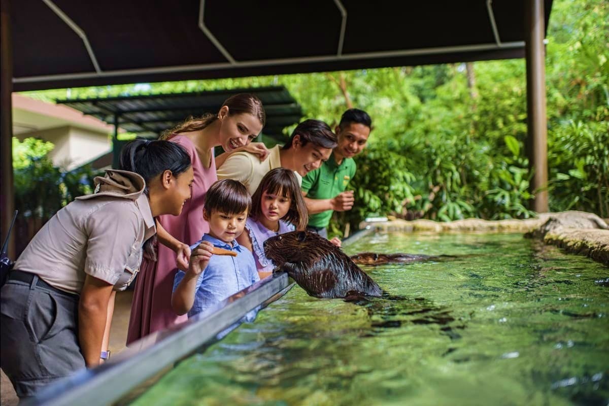 Combo: Night Safari Admission with Tram and River Wonders Category