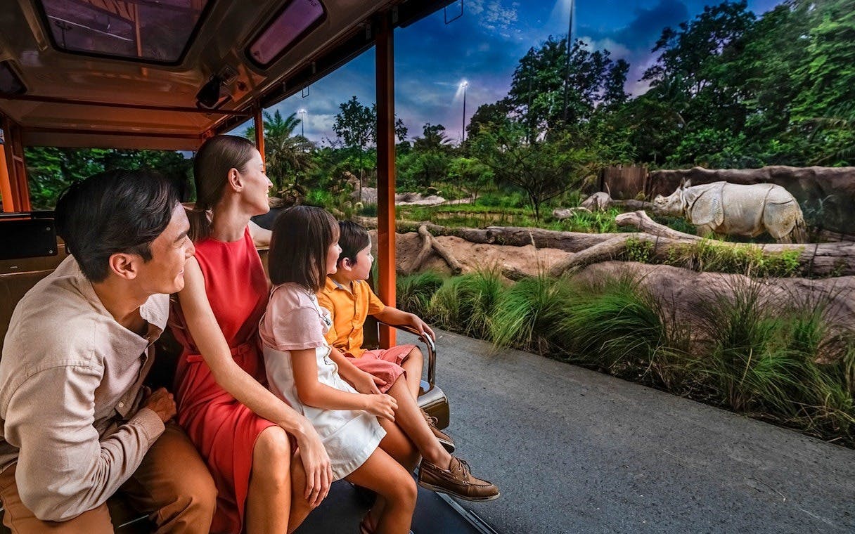 Combo: Night Safari Admission with Tram and Bird Paradise Price
