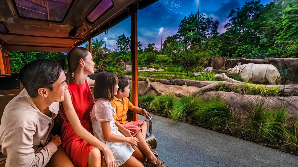 Combo: Night Safari Admission with Tram and Bird Paradise Price