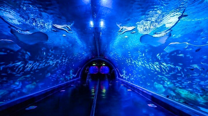 Combo: Carnival Magic Phuket and Aquaria Phuket Discount