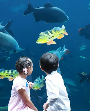 Combo: Carnival Magic Phuket and Aquaria Phuket