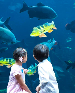 Combo: Carnival Magic Phuket and Aquaria Phuket