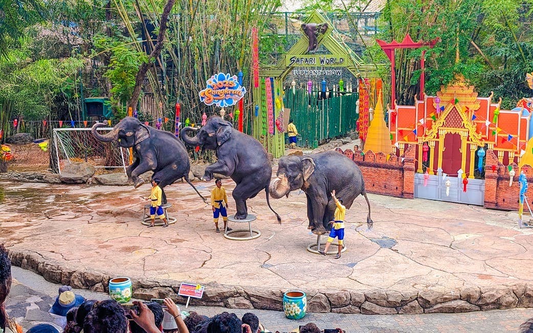 Combo: Dream world Bangkok and Safari Park Thrillark
