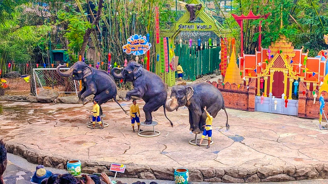 Combo: Dream world Bangkok and Safari Park Thrillark