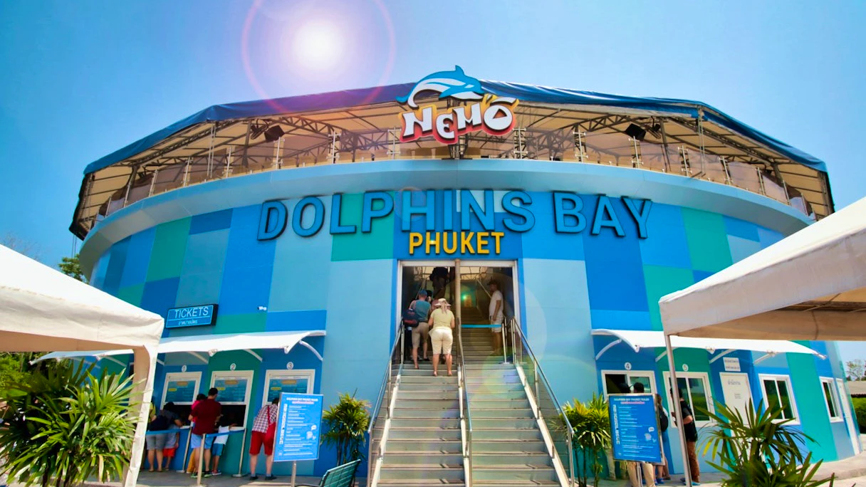 Dolphins Bay Phuket & Lion Land Phuket Combo Ticket | 10% Off