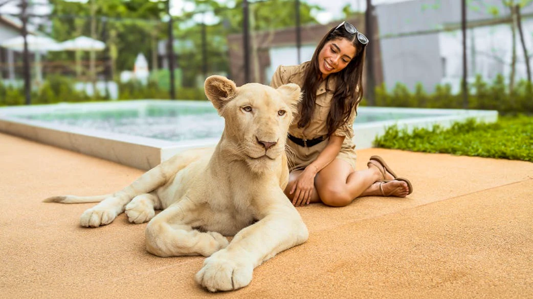 Dolphins Bay Phuket & Lion Land Phuket Combo Ticket | 10% Off Category