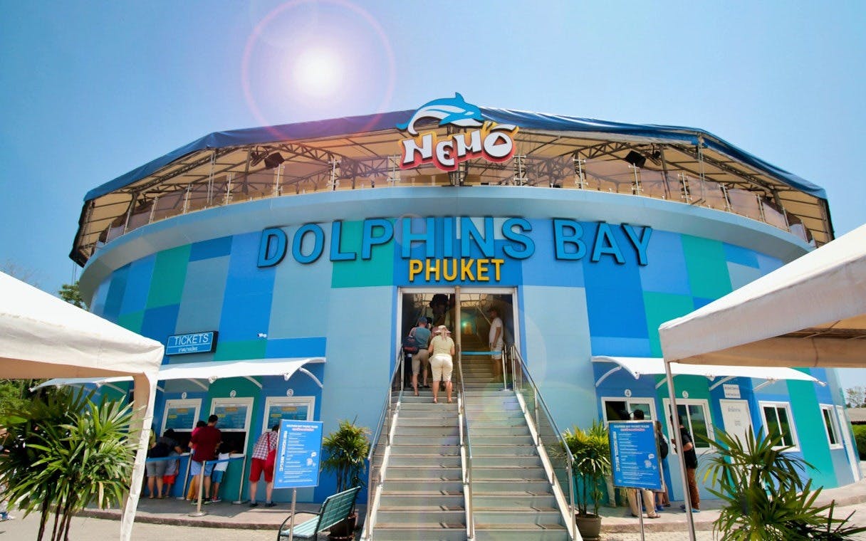 Combo: Dolphins Bay Phuket and Phuket Crocodile Farm and Show