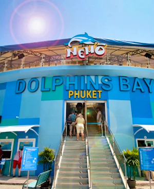 Combo: Dolphins Bay Phuket and Phuket Crocodile Farm and Show