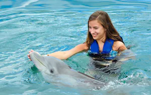 Pattaya Dolphinarium and Mini Siam Pattaya Combo Ticket