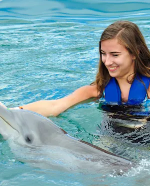 Pattaya Dolphinarium and Mini Siam Pattaya Combo Ticket