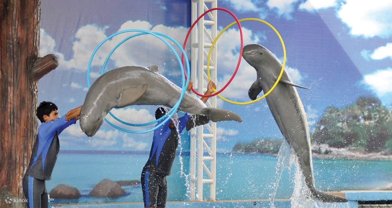 Pattaya Dolphinarium and Mini Siam Pattaya Combo Ticket Location