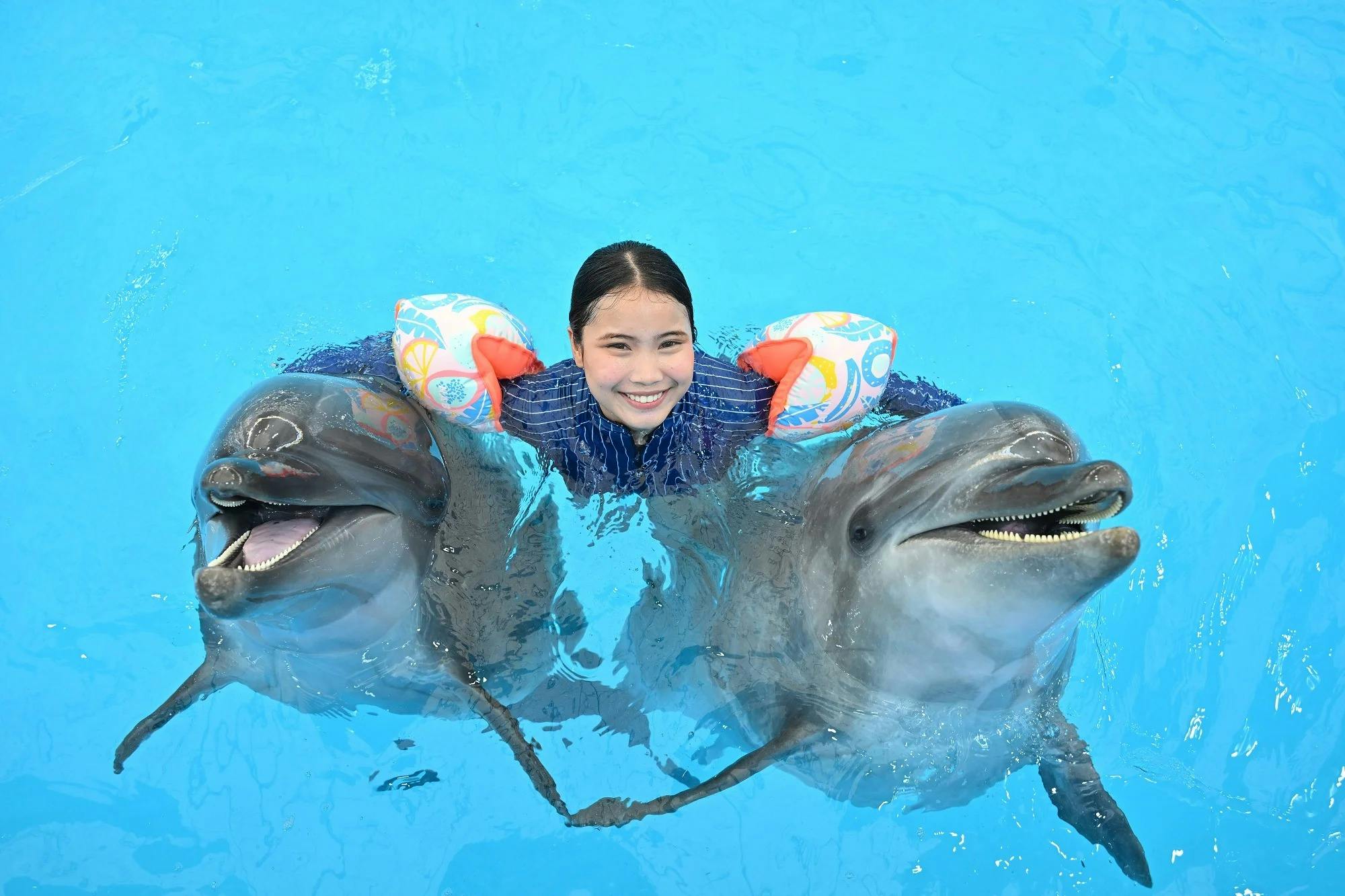 Pattaya Dolphinarium and Mini Siam Pattaya Combo Ticket Discount
