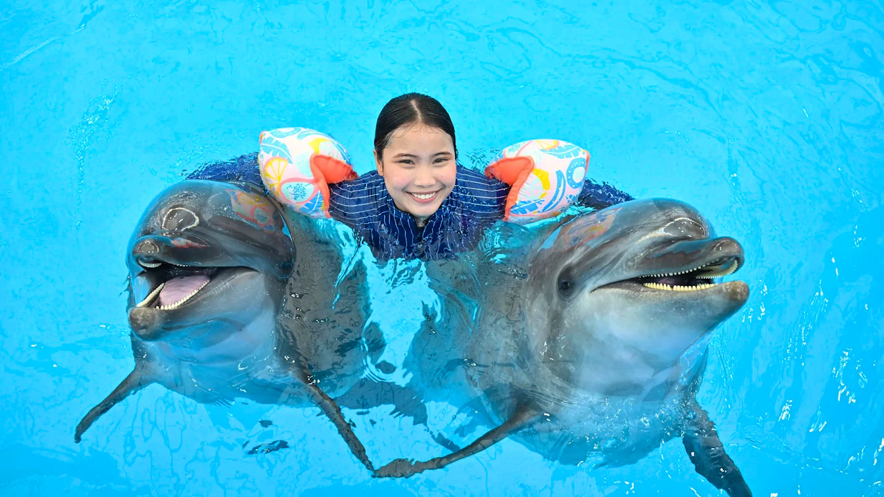 Pattaya Dolphinarium and Mini Siam Pattaya Combo Ticket Discount